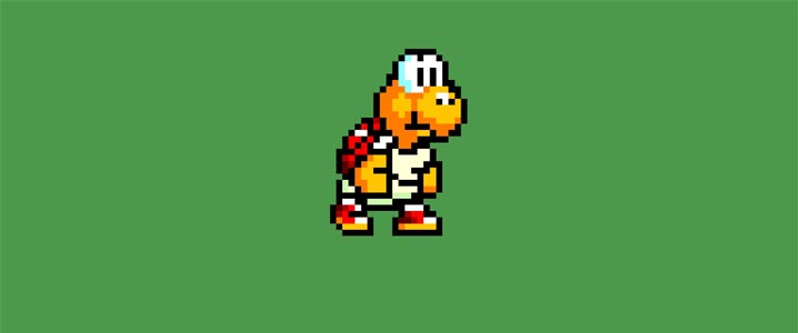 This is a koopa troopa.